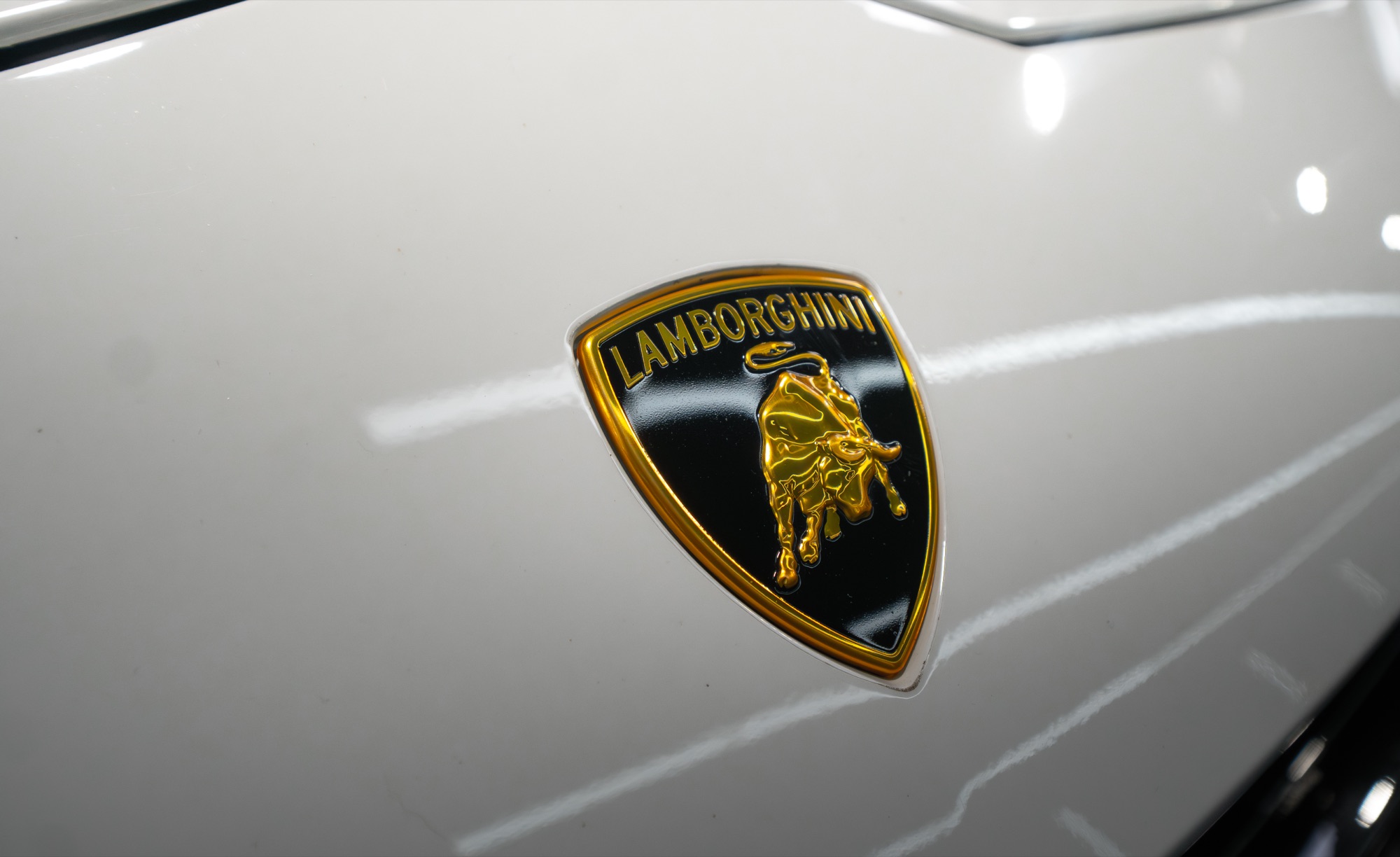 Paint Protection Film by Limitless Auto Salon