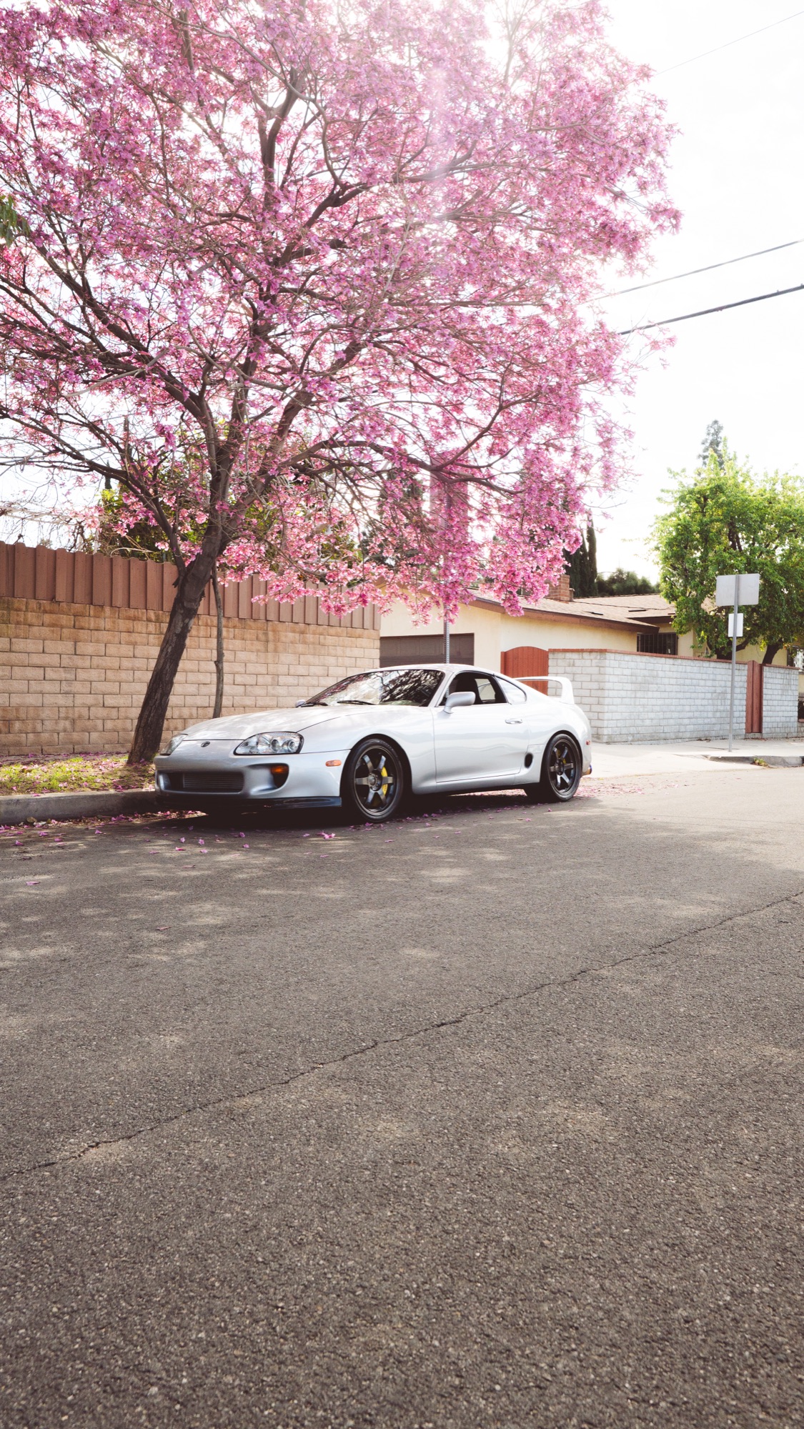 Paint protection film by Limitless Auto Salon — DSC09716